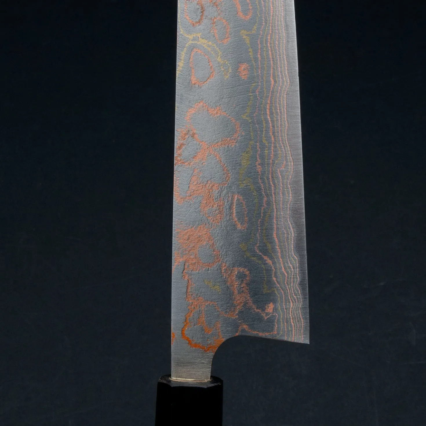 Takeshi Saji Rainbow Aogami Wa Koksmes 24 cm