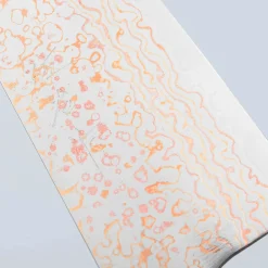 Takeshi Saji Rainbow VG10 Bunka