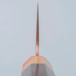 Takeshi Saji Rainbow VG10 Nakiri