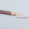 Takeshi Saji Rainbow VG10 Petty 9 cm
