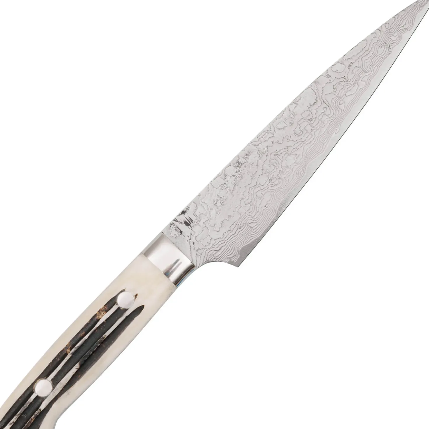 Takeshi Saji SG2 Diamond Damast Staghorn Petty 15 cm