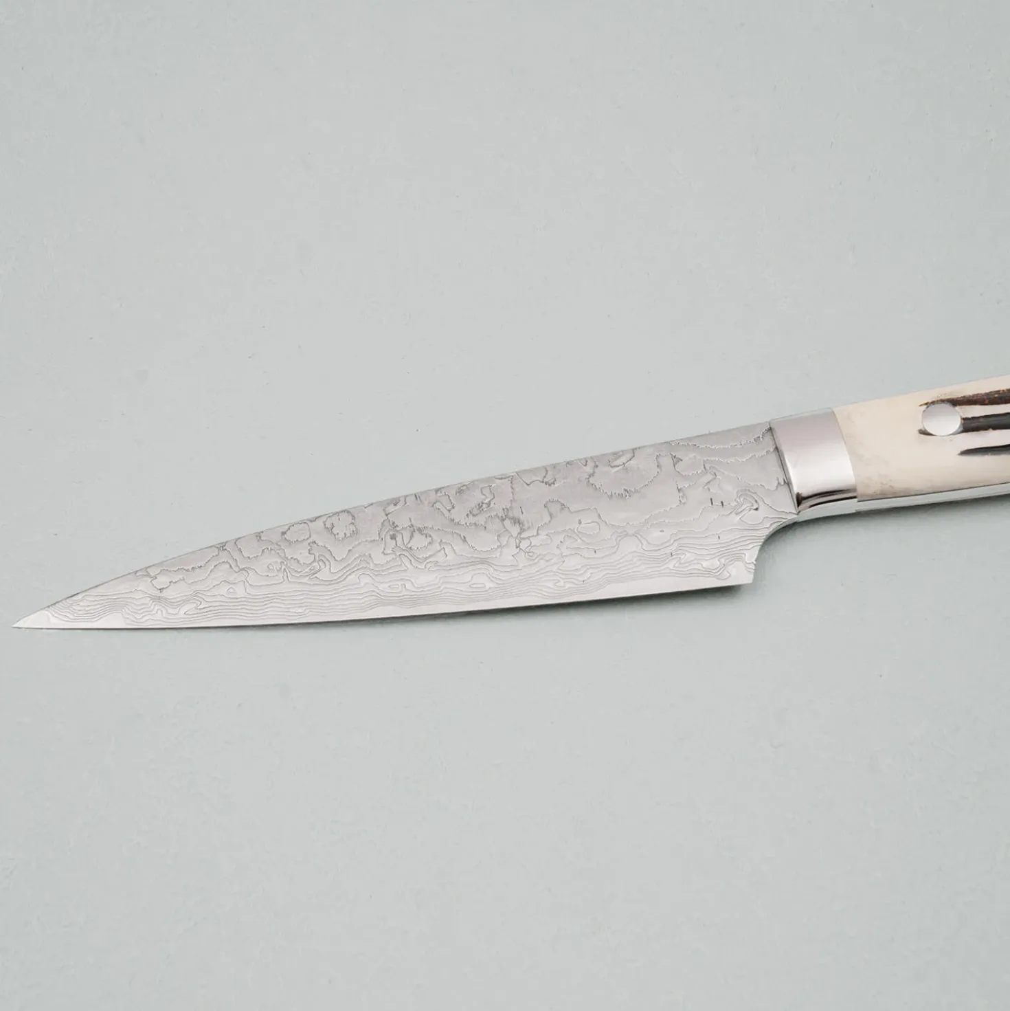 Takeshi Saji SG2 Diamond Damast Staghorn Petty 15 cm