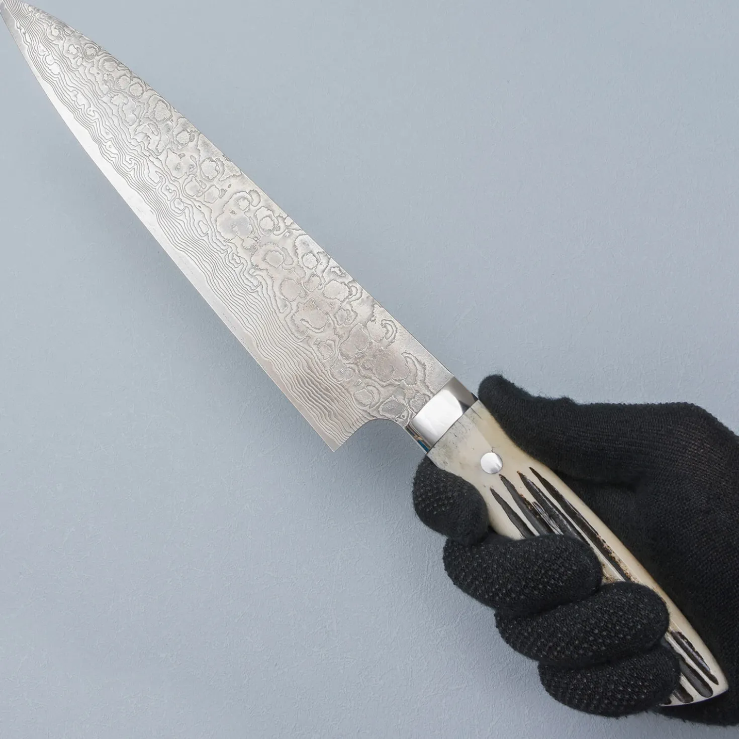 Takeshi Saji SG2 Diamond Damast Staghorn Gyuto 24 cm
