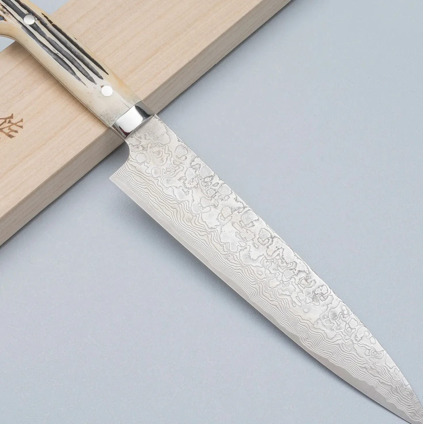 Takeshi Saji SG2 Diamond Damast Staghorn Gyuto 24 cm