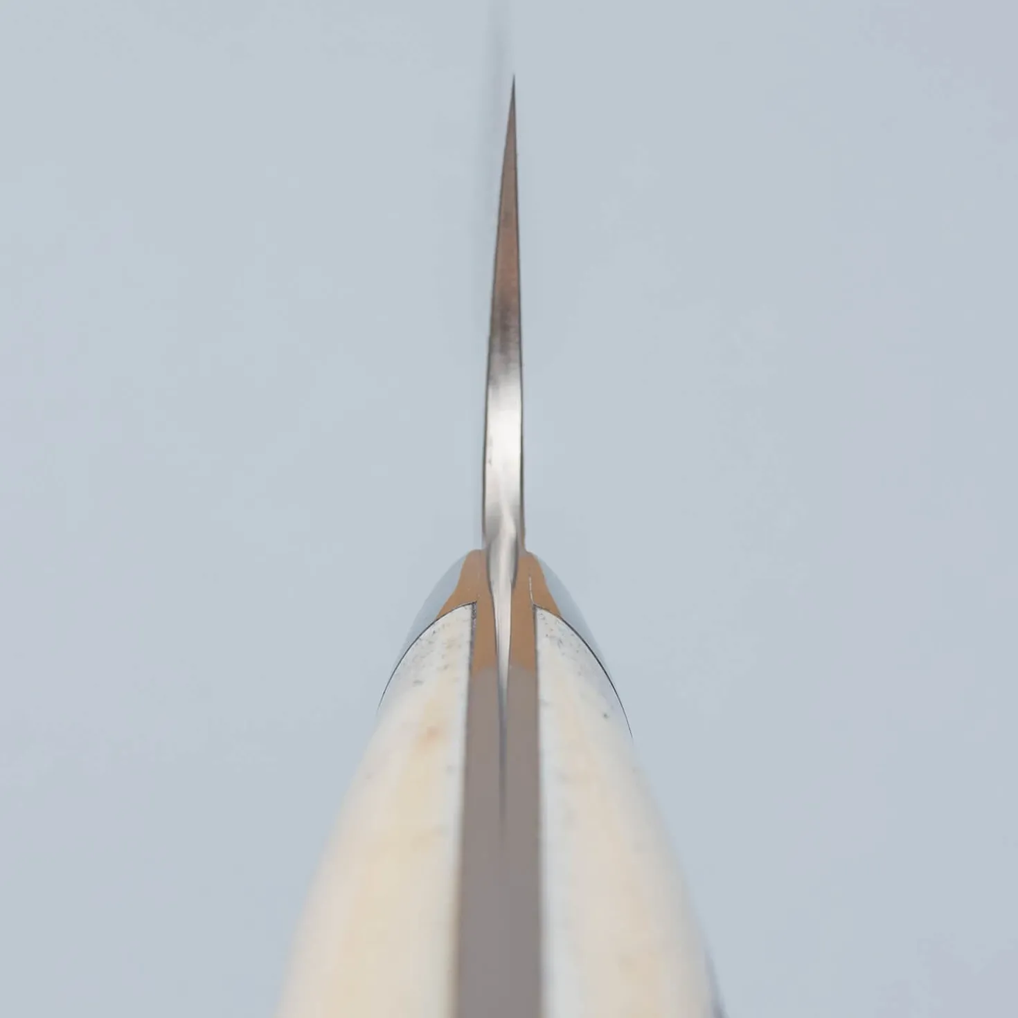 Takeshi Saji SG2 Diamond Damast Staghorn Gyuto 24 cm