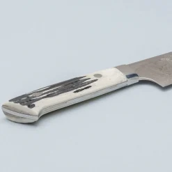 Takeshi Saji SG2 Diamond Damast Staghorn Santoku 18 cm