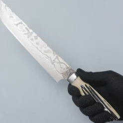 Takeshi Saji SG2 Diamond Damast Staghorn Sakimaru 24 cm