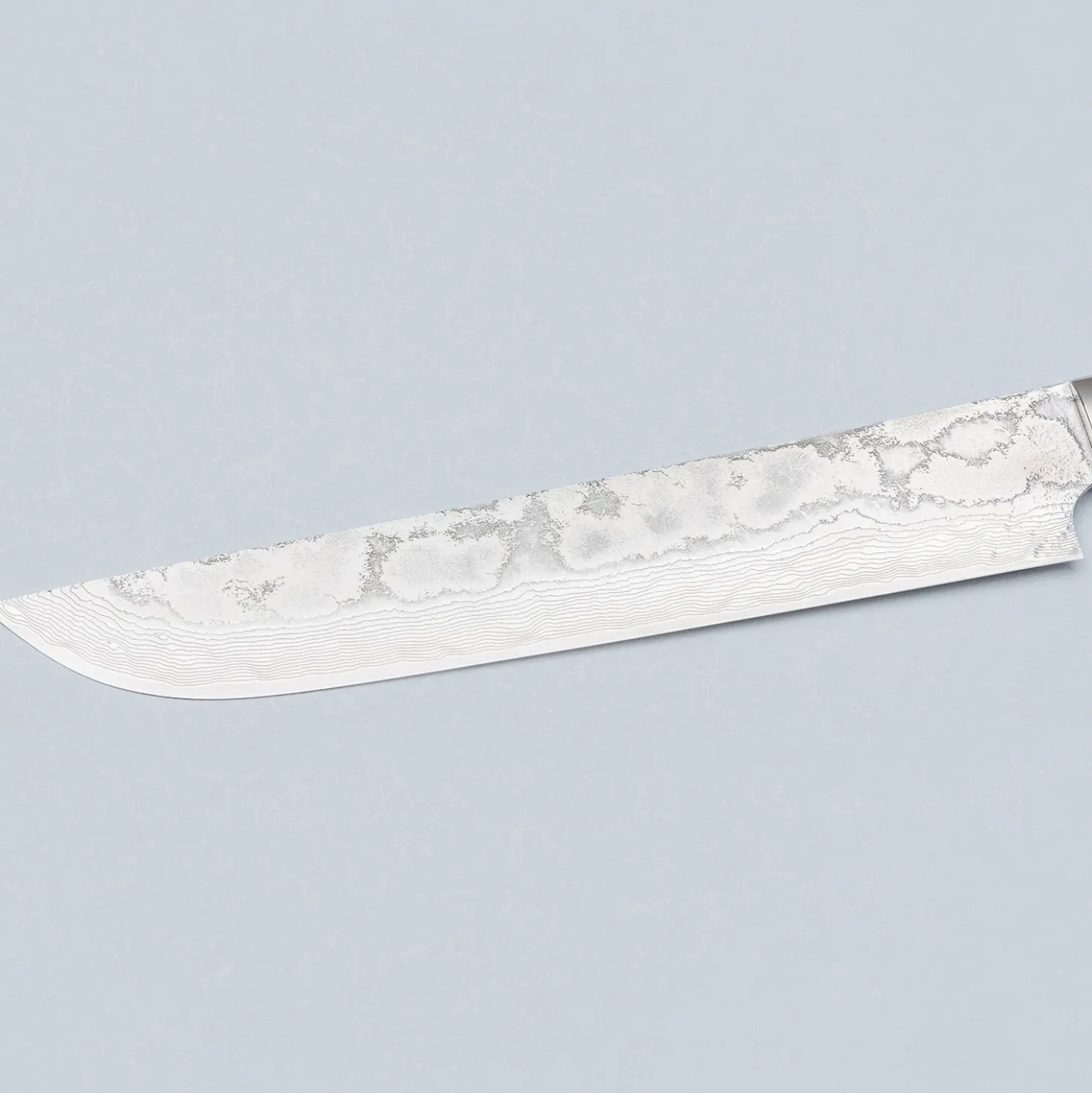 Takeshi Saji SG2 Diamond Damast Staghorn Sakimaru 24 cm
