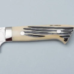 Takeshi Saji SG2 Diamond Damast Staghorn Sakimaru 24 cm