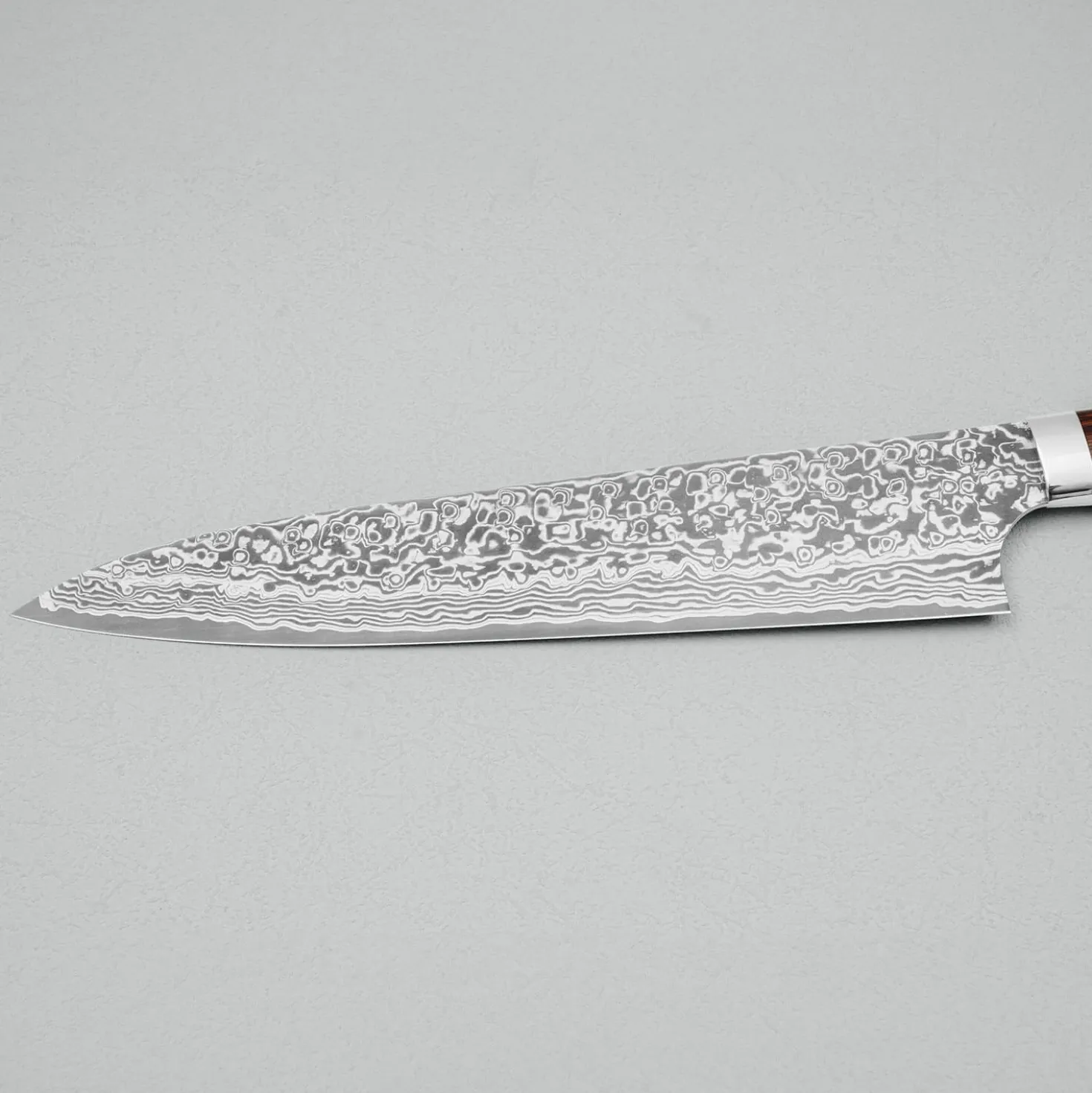 Takeshi Saji SG2 Diamond Damast Ironwood Gyuto 24 cm