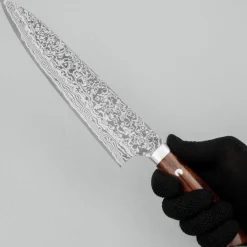 Takeshi Saji SG2 Diamond Damast Ironwood Gyuto 24 cm