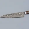 Takeshi Saji SG2 Nickel Damast Ironwood Gyuto 21 cm