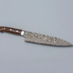 Takeshi Saji SG2 Nickel Damast Ironwood Gyuto 21 cm