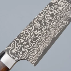 Takeshi Saji SG2 Nickel Damast Ironwood Gyuto 21 cm