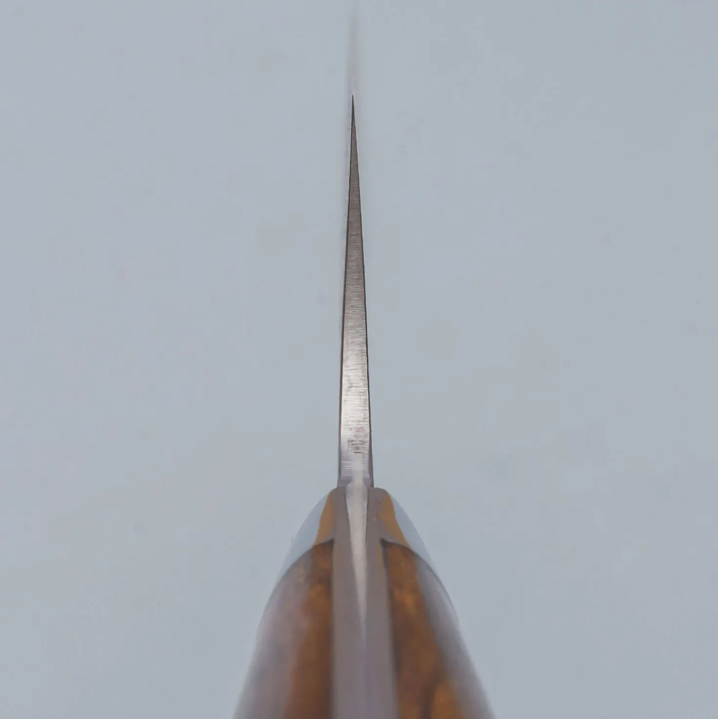 Takeshi Saji SG2 Nickel Damast Ironwood Gyuto 21 cm