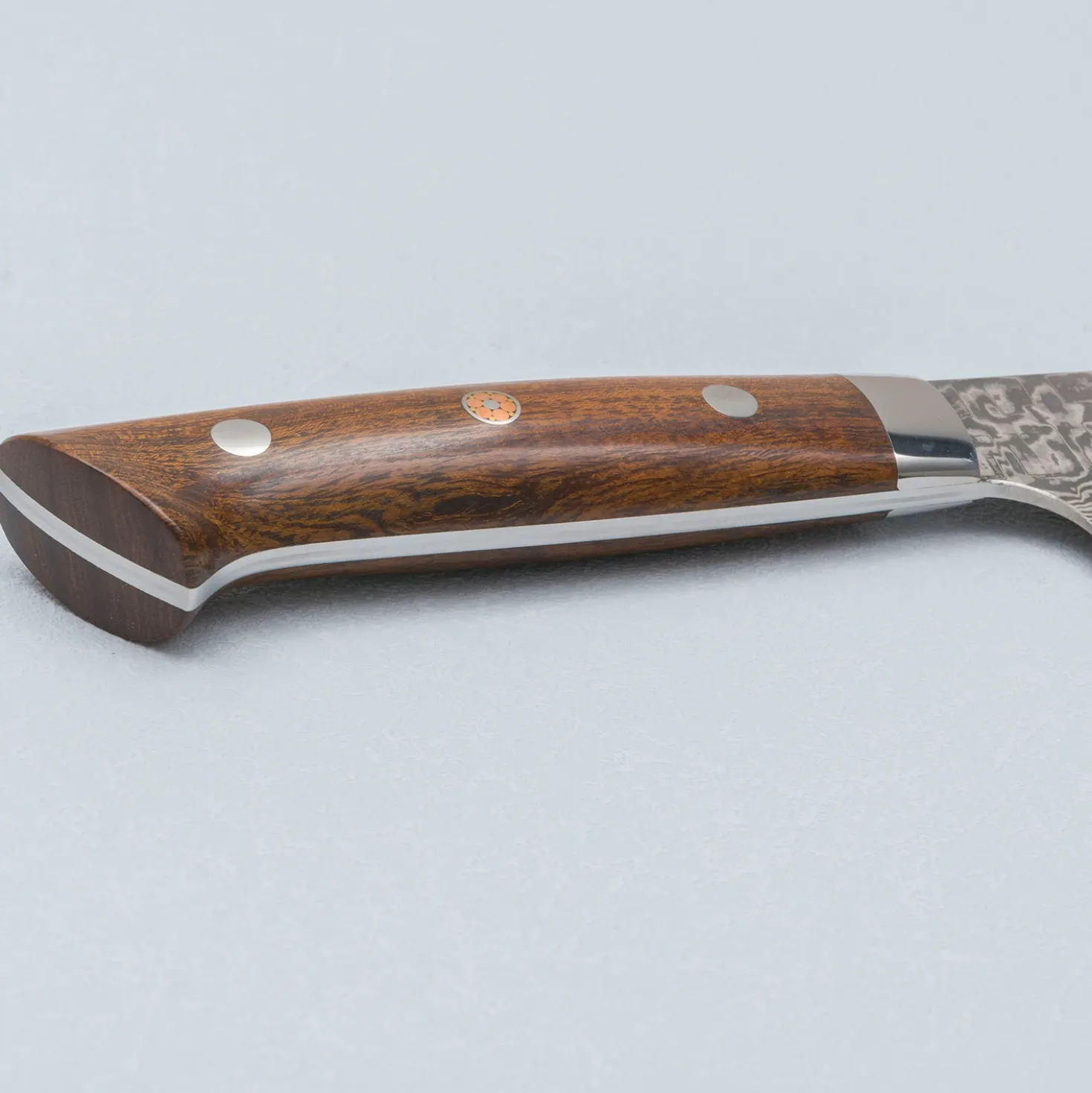 Takeshi Saji SG2 Nickel Damast Ironwood Sujihiki 24 cm