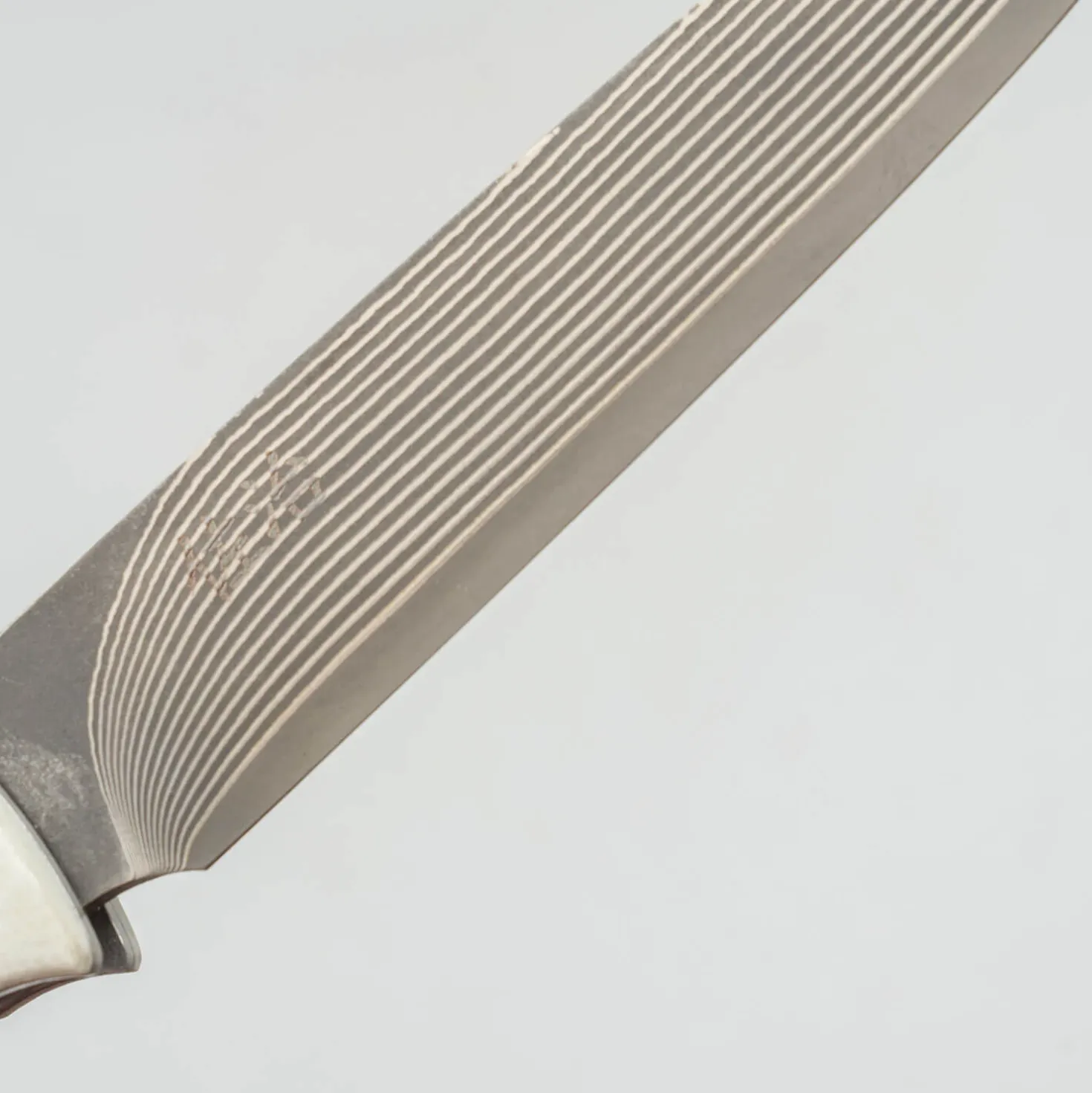 Takeshi Saji SG2 Nickel Damast White Steak knife 10 cm