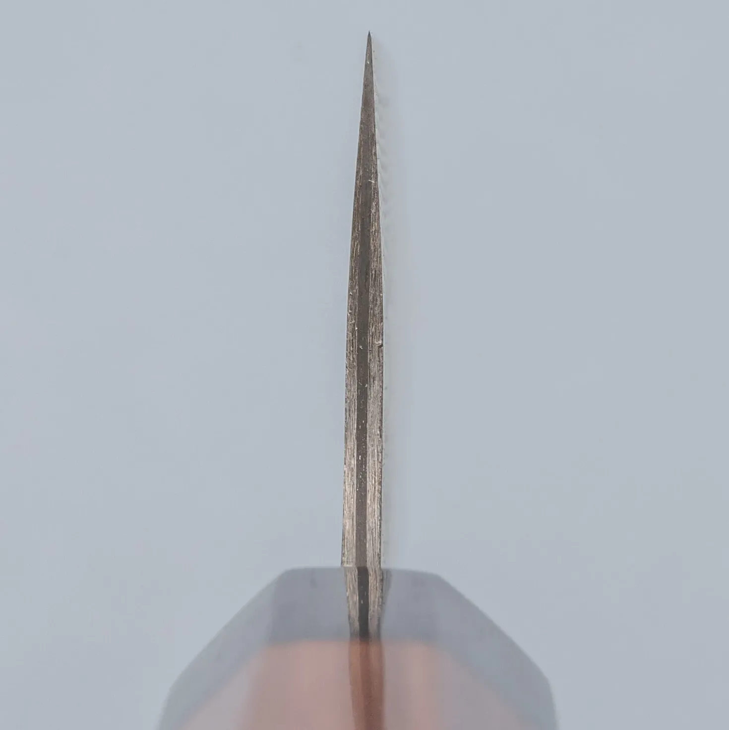 Takeshi Saji SG2 Nickel Damast Sujihiki 27 cm