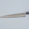 Takeshi Saji SG2 Nickel Damast Sujihiki 24 cm
