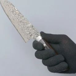 Takeshi Saji SG2 Nickel Damast Ironwood Santoku 18 cm