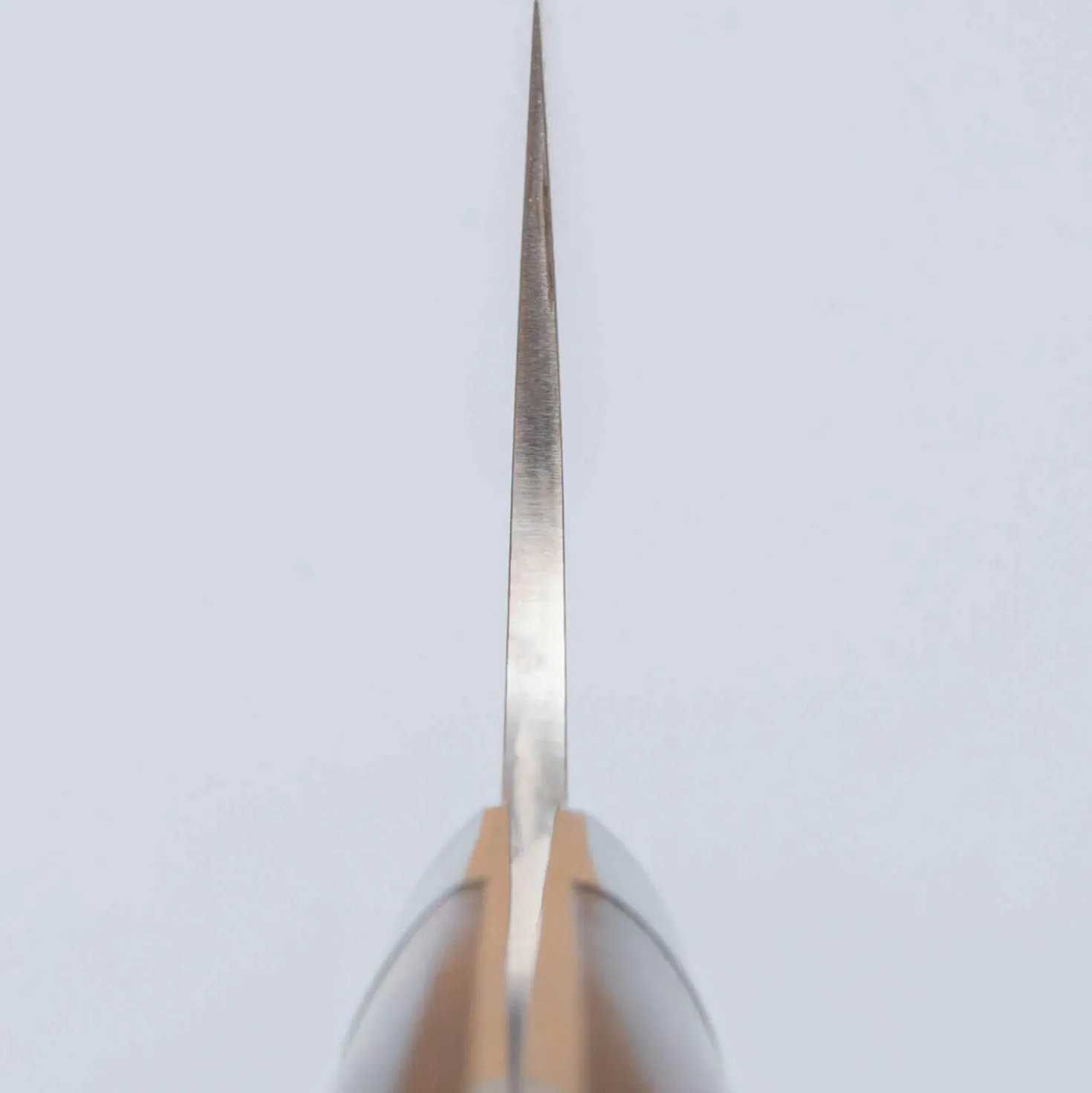 Takeshi Saji SG2 Nickel Damast Ironwood Santoku 18 cm