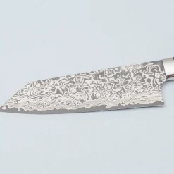 Takeshi Saji SG2 Nickel Damast Ironwood Bunka 17.5 cm