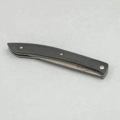 Takeshi Saji SG2 Nickel Damast Black Steak knife 10 cm