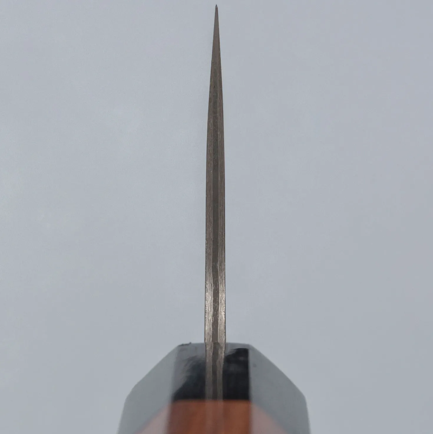 Takeshi Saji SG2 Nickel Damast Gyuto 24 cm