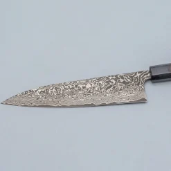 Takeshi Saji SG2 Nickel Damast Gyuto 21 cm