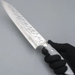 Takeshi Saji SRS13 Corian Gyuto 24 cm