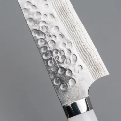 Takeshi Saji SRS13 Corian Gyuto 21 cm