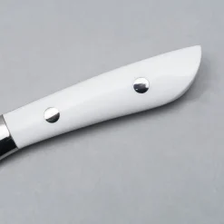 Takeshi Saji SRS13 Corian Petty 13 cm