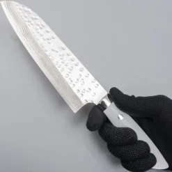 Takeshi Saji SRS13 Corian Santoku