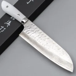 Takeshi Saji SRS13 Corian Santoku
