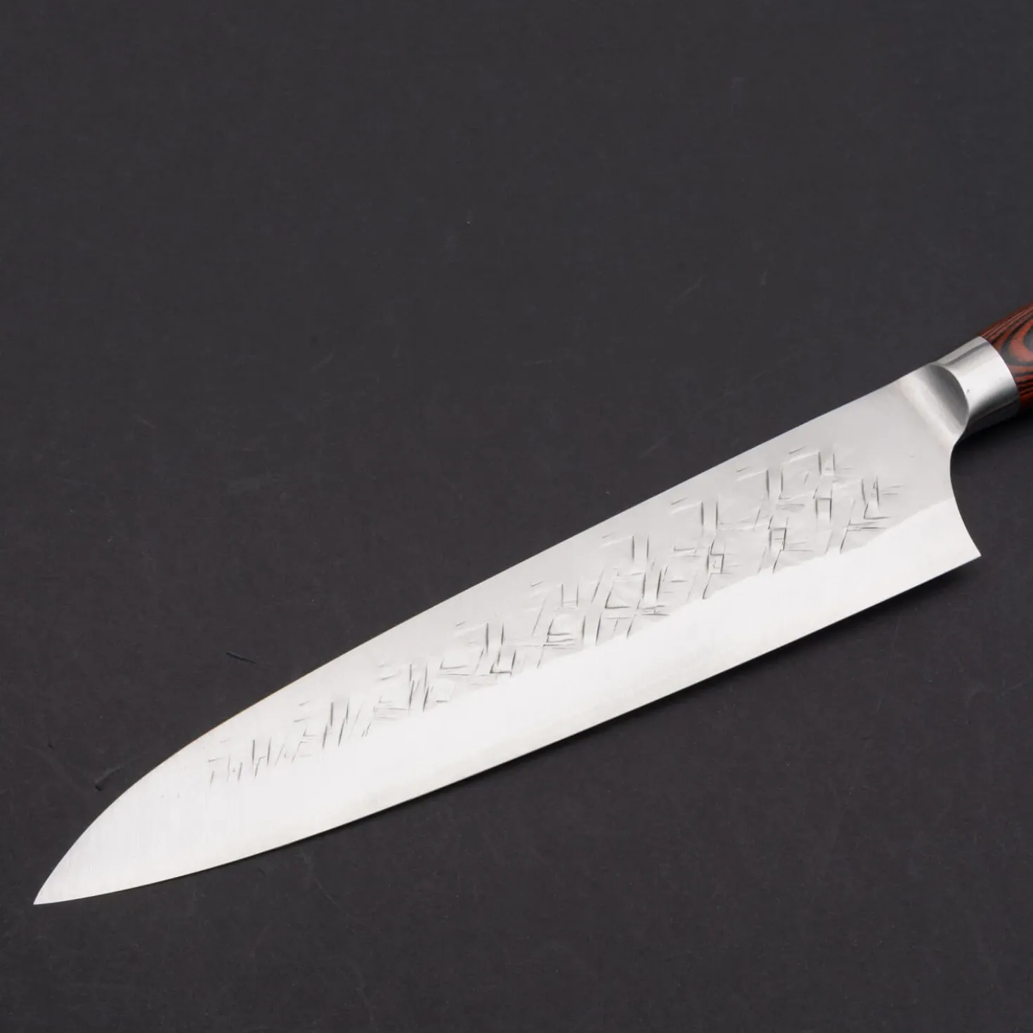 Takeshi Saji SRS13 Gyuto 24 cm