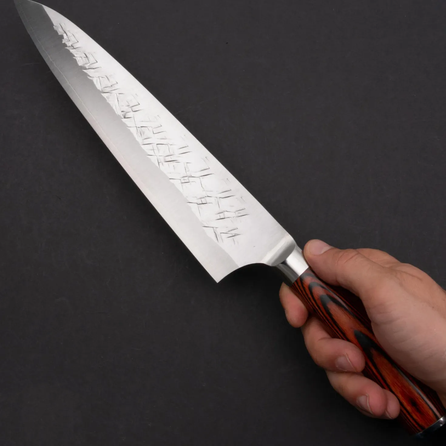 Takeshi Saji SRS13 Gyuto 24 cm