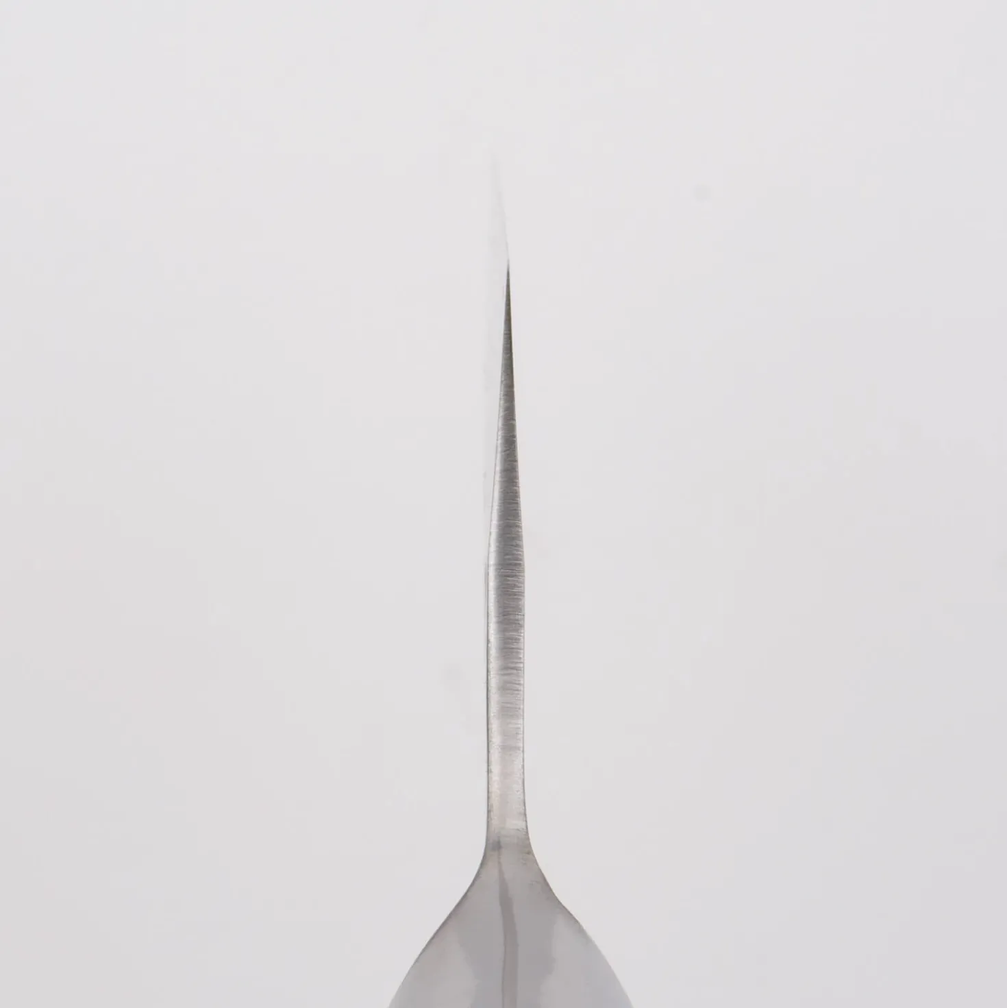 Takeshi Saji SRS13 Gyuto 24 cm