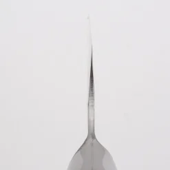 Takeshi Saji SRS13 Gyuto 21 cm