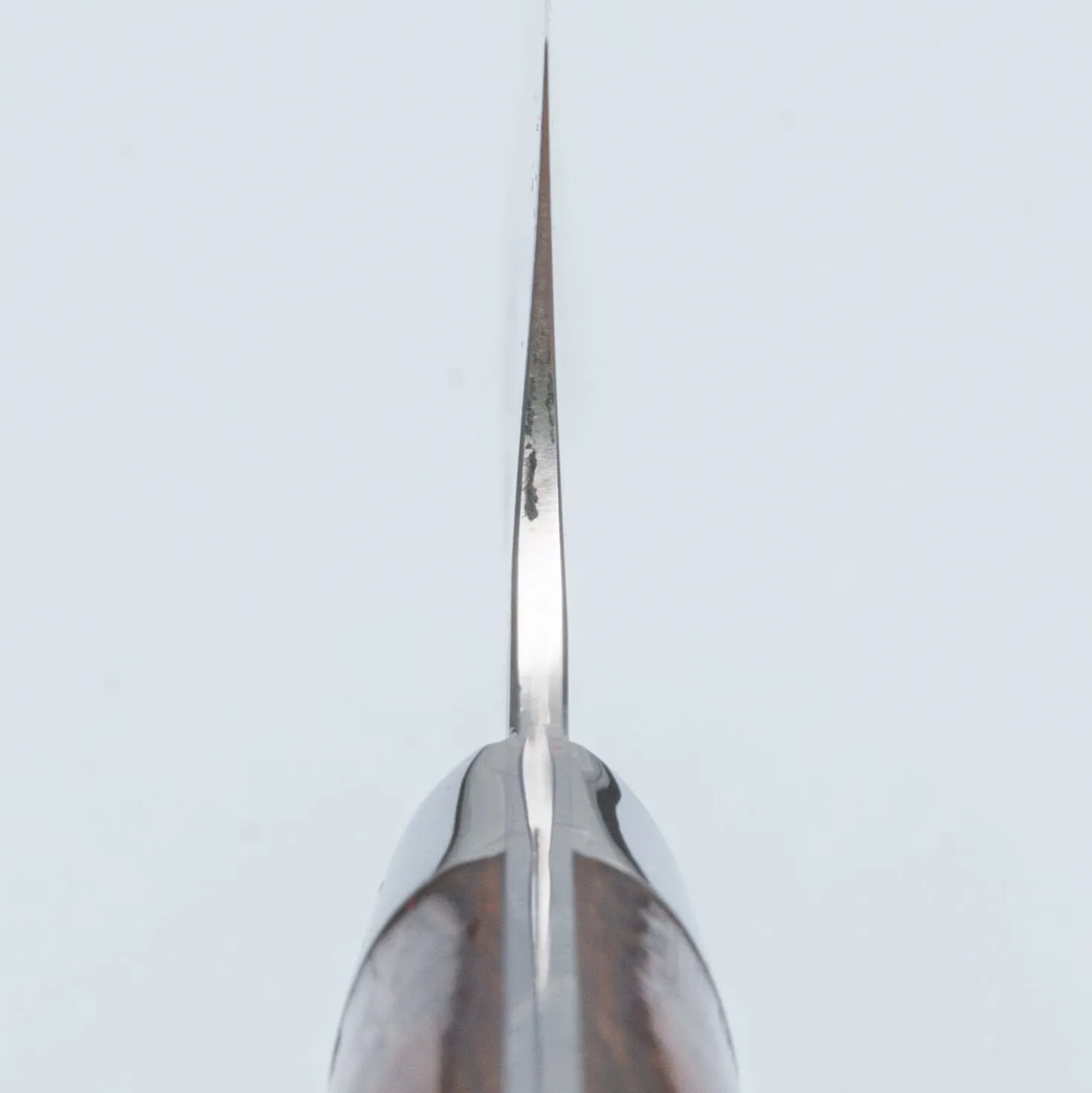 Takeshi Saji SRS13 Ironwood Gyuto 24 cm