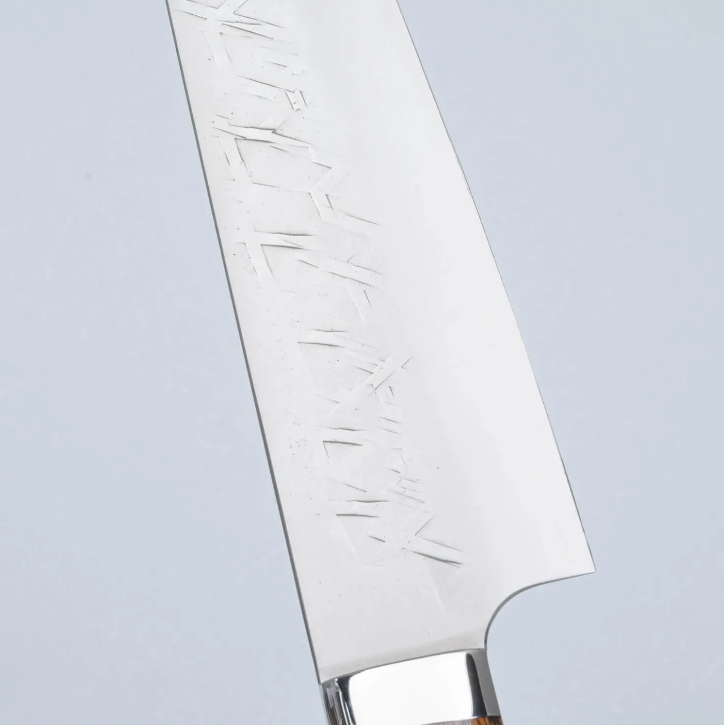 Takeshi Saji SRS13 Ironwood Gyuto 24 cm