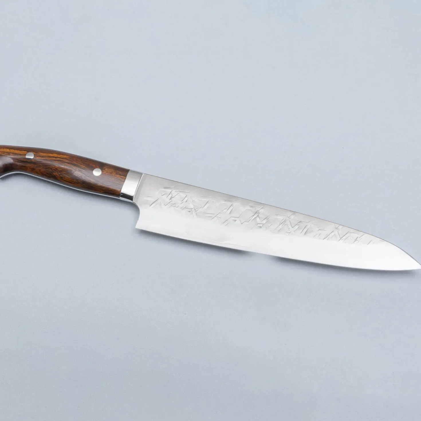 Takeshi Saji SRS13 Ironwood Gyuto 24 cm