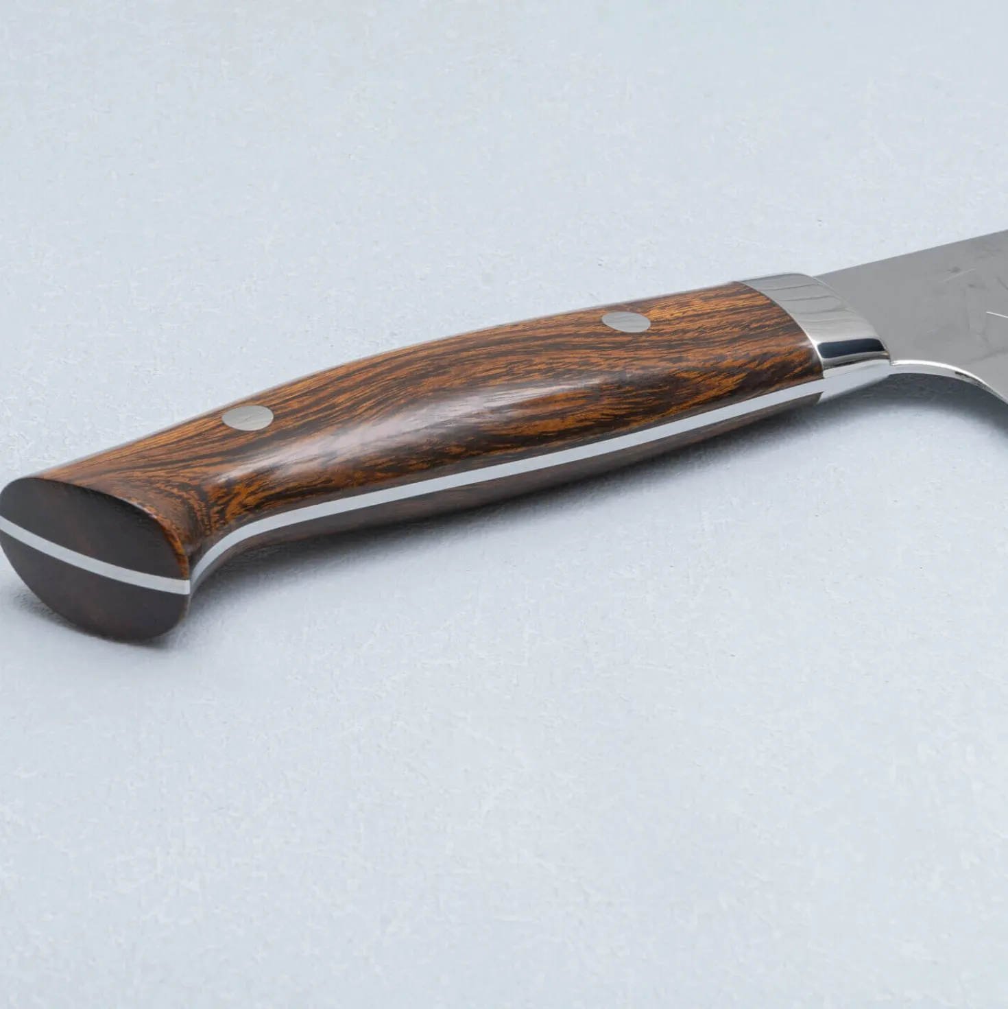 Takeshi Saji SRS13 Ironwood Gyuto 24 cm