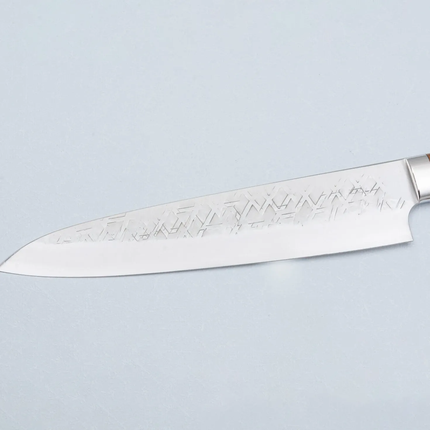 Takeshi Saji SRS13 Ironwood Gyuto 24 cm