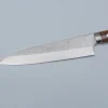 Takeshi Saji SRS13 Ironwood Gyuto 21 cm