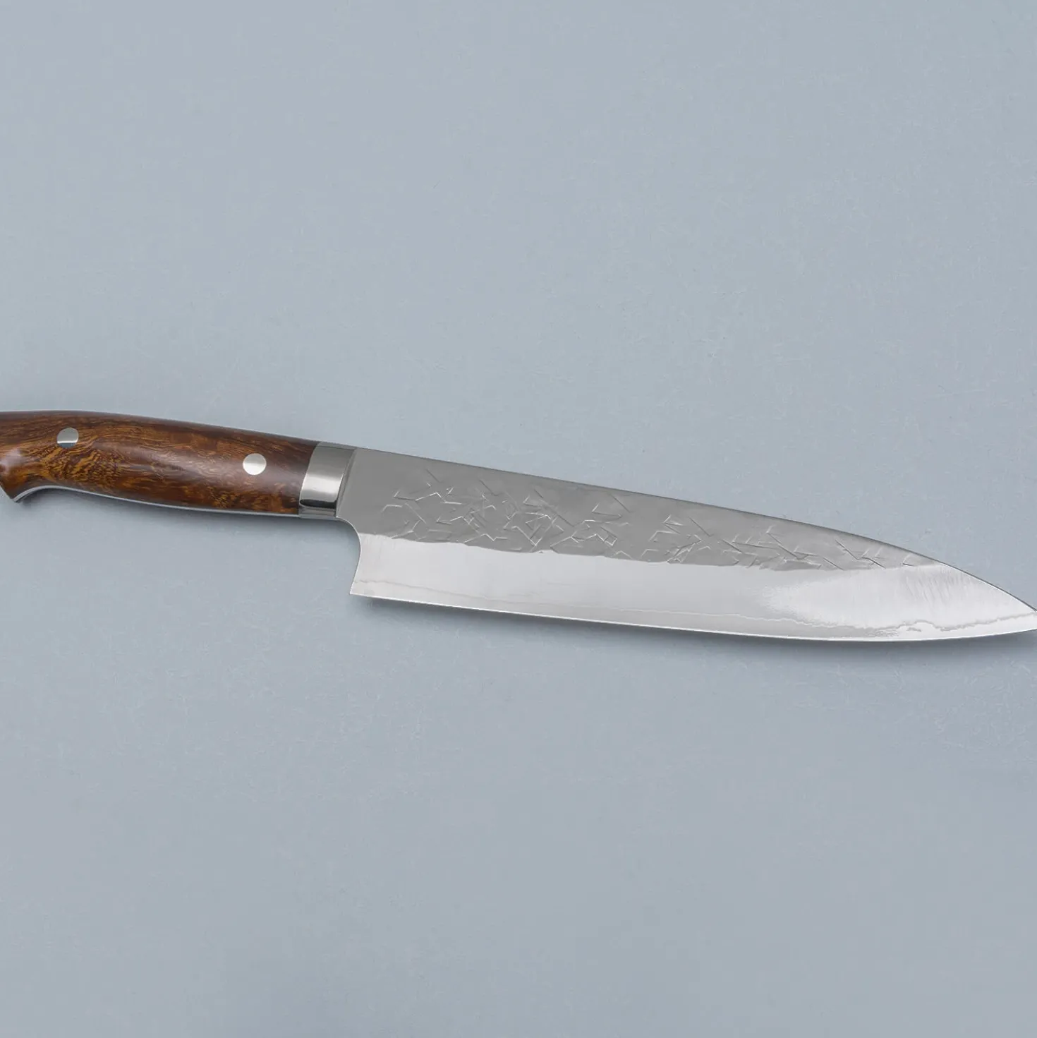Takeshi Saji SRS13 Ironwood Gyuto 21 cm