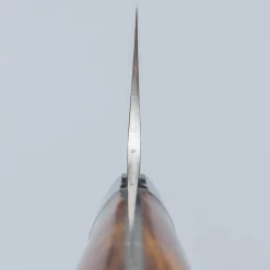 Takeshi Saji SRS13 Ironwood Gyuto 21 cm