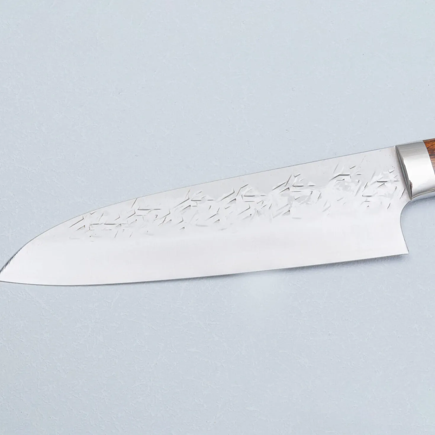 Takeshi Saji SRS13 Ironwood Santoku