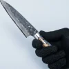 Takeshi Saji VG10 Cross Tsuchime Kurouchi Pinecone Petty 13.5 cm