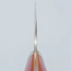 Takeshi Saji VG10 Cross Tsuchime Kurouchi Sujihiki 27 cm