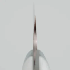 Takeshi Saji VG10 Diamond Finish Corian Petty 15 cm